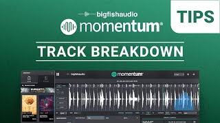 Track Breakdown | Momentum Tips
