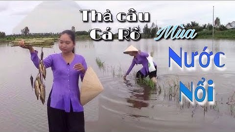 LÀM CÂU THẢ BẰNG ỐNG SẬY BẮT CÁ RÔ ĐỒNG TRÊN RUỘNG MÙA NƯỚC NỔI | Catch fish in the field