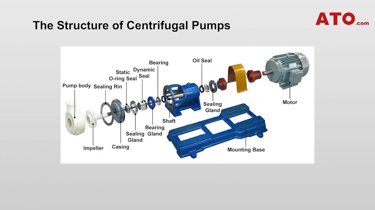 Centrifugal Pump Parts Explained  Basics About Eight Components
