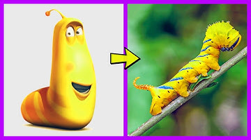 Larva Characters In Real Life