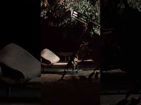 Timsb Kanald Eşrefrüya çağatayulusoy Demetözdemir