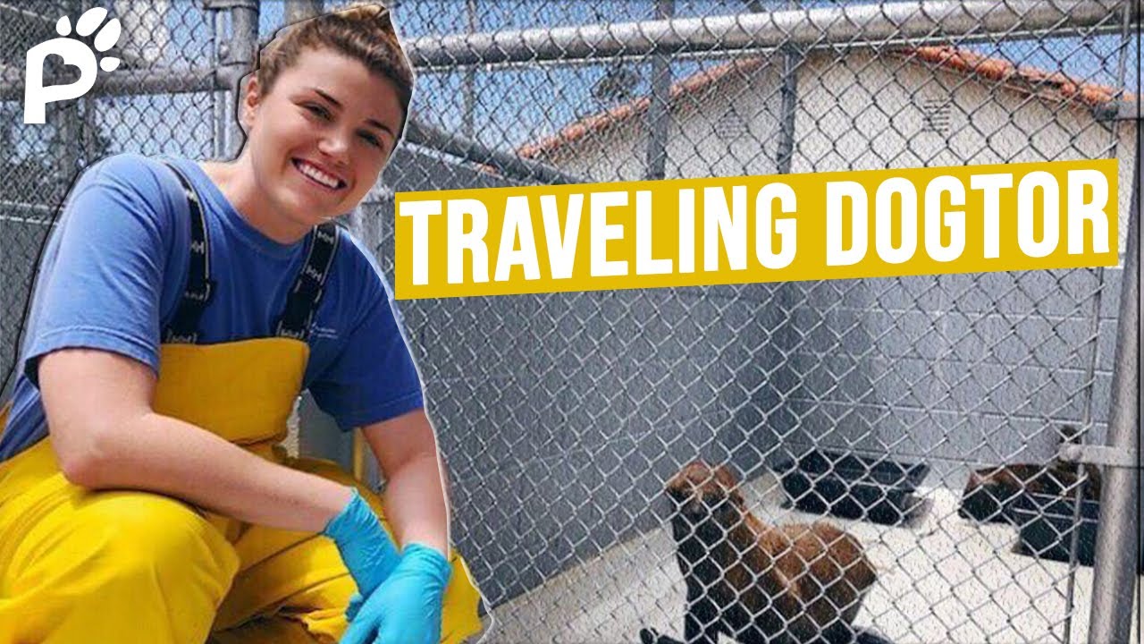 Traveling Dogtor | Shelby Baden | Pawareness Podcast Ep. 30