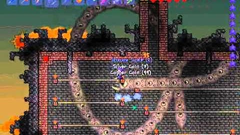 Terraria Let