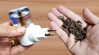 Just put CLOVES in the EMPTY ELECTRIC RAID and never suffer from mosquitoes again