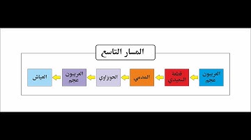 المسارات الادائية في التلاوة - المسار التاسع- الانتقال بين فروع الحجازالمتقاربة
