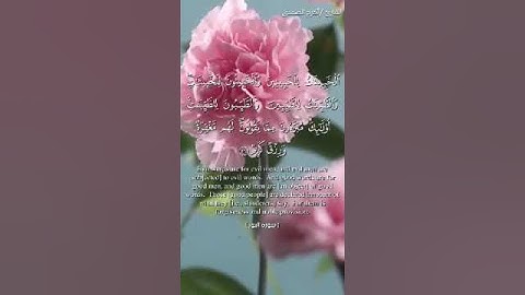 تلاوة رائعة من أجل التلاوة من سورة النور للشيخ أكرم بن محفوظ بن حسان بن ثابت