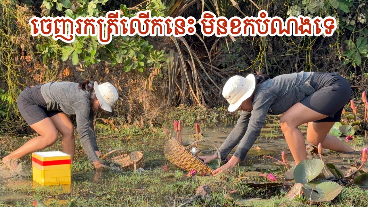 ចេញរកត្រីស្ល សប្បាយណាស់ | Go catching fish in the pond behind the house | Life at The Countryside 