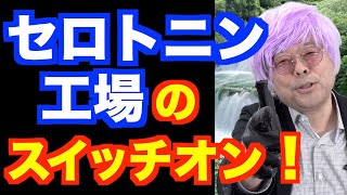 午後の散歩じゃダメですか？【精神科医・樺沢紫苑】