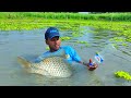 OMG!! Big Fishing By Plastic Bottle Fish Trap | Hook Fishing | Amazing Catching Fish Technique