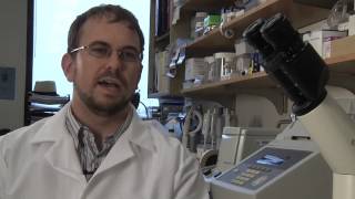 Dana-Farber Cancer Institute Post Doc Tony Barnitz