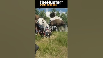 🔥 This MODDED SERVER Is INSANE 🔥 The Hunter COTW #shorts