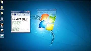 How to rip a SWF file off any Website