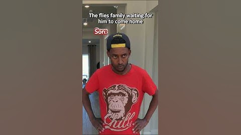 How to Trick a Fly 💀