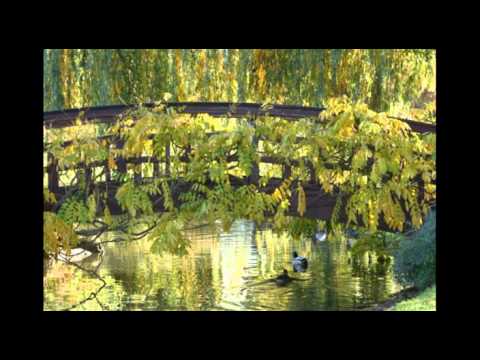 ავთანდილ სახამბერიძე კითხულობს-ქართული ზღაპარი