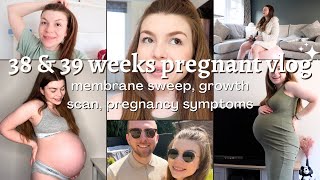 I got a membrane sweep, new pregnancy symptoms and updates | 38 & 39 weeks pregnancy vlog by Meg Lev 1,378 views 10 months ago 29 minutes