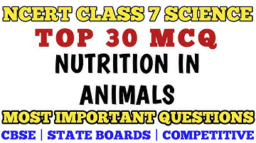 Best MCQ Class 7 Nutrition In Animals Full Chapter // NCERT Science Chapter 2 / Nutrition in Animals