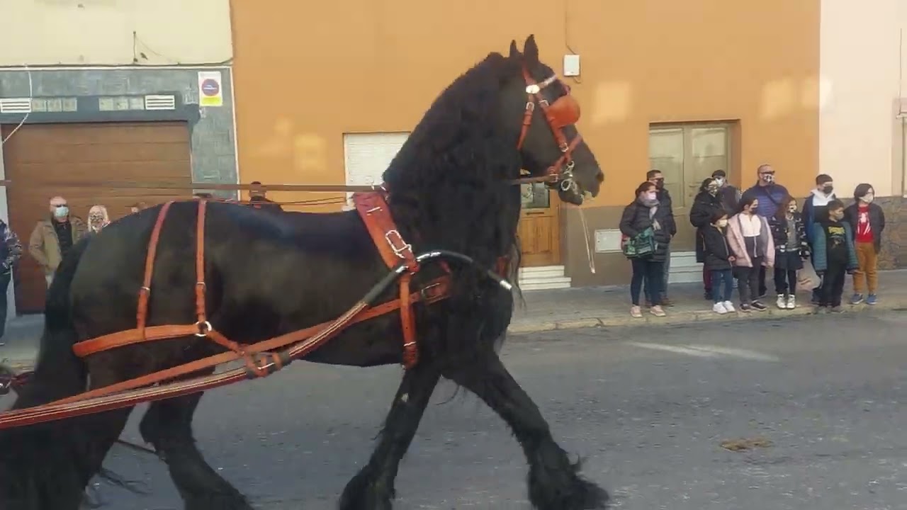 Tres tombs 2022 Vilanova i la Geltru