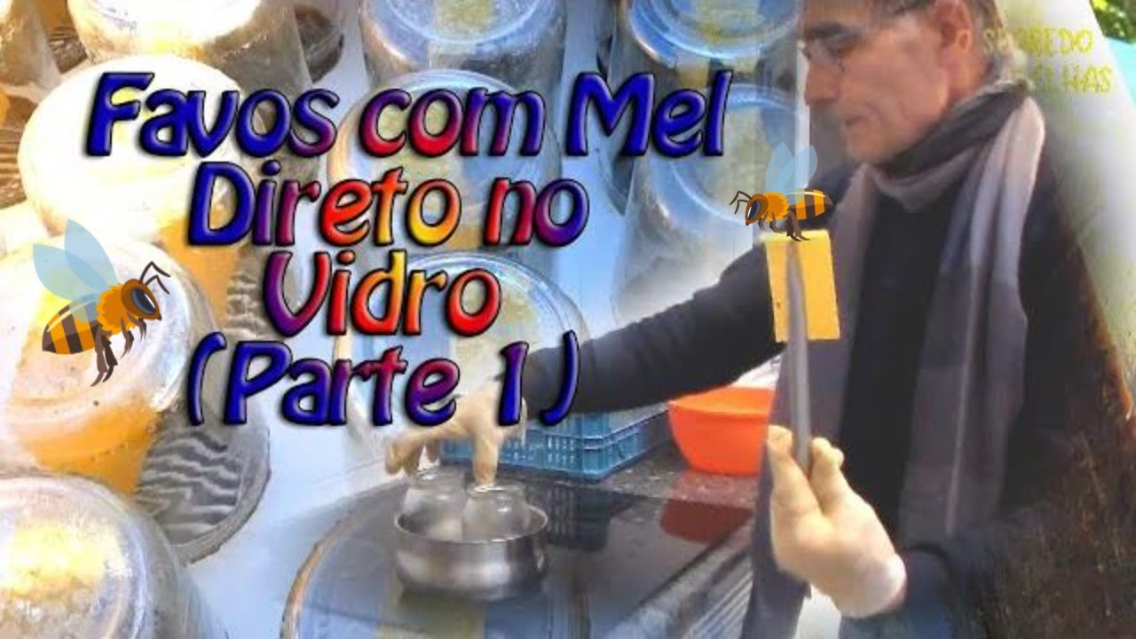 Favos com Mel Direto no Vidro (Parte 1) @euclidessantanasantana