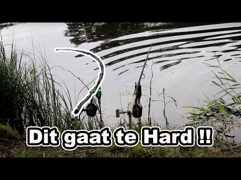 Video: Vissen Op Karper