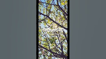 أتمنى تكتب شيء تؤجر عليه #قرآن #اكسبلور #مسلم #راحة_نفسية #تلاوات #دويتو #explore #لايك