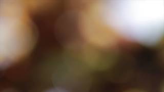 Футаж Абстрактный Свечение и Блики видео фон для слайд шоу Футаж Абстрактный Свечение и Блики видео фон для слайд шоу