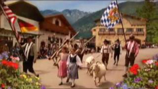 Fall festivals