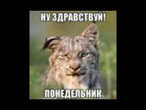 смишние фото - YouTube