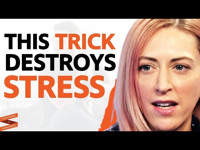 Psychologist Explains The SECRET To Making STRESS YOUR FRIEND | Kelly McGonigal u0026 Lewis Howes class=