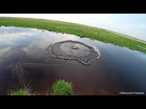 Video: Terpug - Kalorijų Kiekis, Naudingos Savybės, žala, Maistinė Vertė