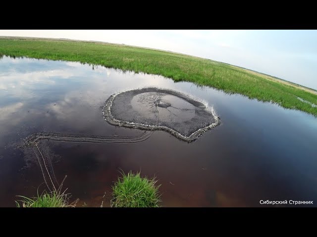 Nabombili with his wife fish. The trick works. - YouTube