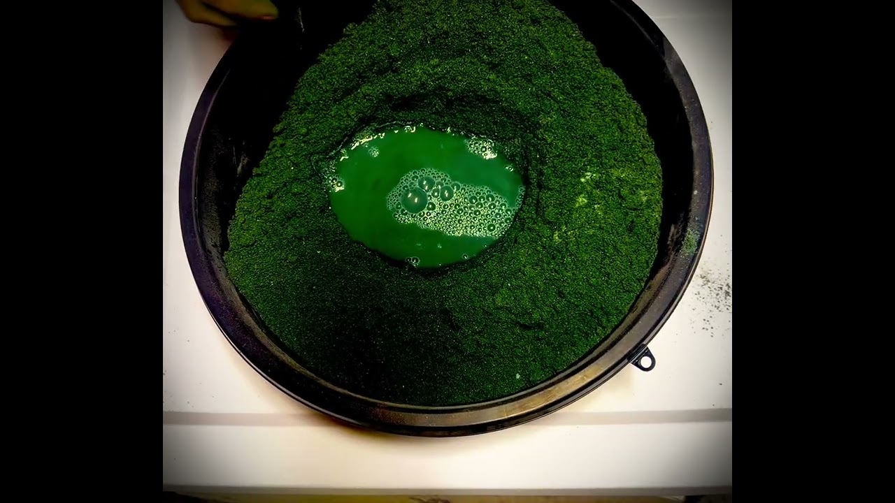 Beautiful green sand 