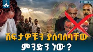 ሽፍታዎቹን ያሰባሰባቸው ምንድን ነው? ETV | EBC | EBCDOTSTREAM