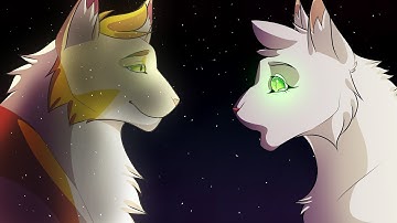 Wanderer | Moth Flight MAP Part 16