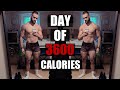 Full Day Of Eating 3600 Calories | Ep  6 | The Reform