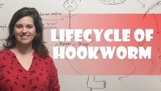 Lifecycle of Hookworm