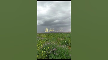 أرح سمعك #قرآن كريم #المنشاوي