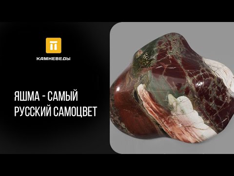 Бейне: Кремнезем экспозициясын қалай азайтуға болады: 10 қадам (суреттермен)