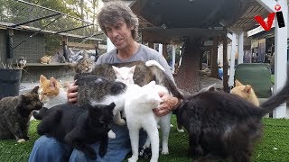 Man Turns His Home Into A Sanctuary For Over 300 Homeless Cats After Losing His Son In An Accident