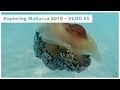 Exploring Mallorca 2019 Vlog #5 (🇩🇪) - Strand Alcudia und Cala D&#39;Or