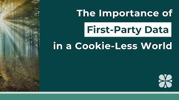 The Importance of First Party Data in a Cookie-Less World