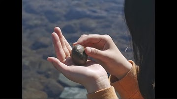 映画『石がある』予告編 long ver.｜2024年9月6日（金）より全国順次公開