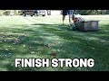 I Ve Been Reel Mowing Turf Type Tall Fescue For A Full Year How Did It Turn Out I Ve Been Reel Mowing Turf Type Tall Fescue For A Full Year How Did It Turn Out