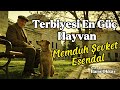 TERBİYESİ EN GÜÇ HAYVAN | Memduh Şevket Esendal | Sesli Hikaye | Seslendiren: Barış Okkay