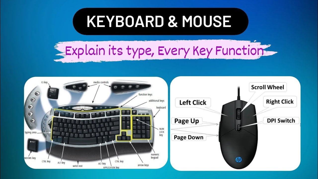 Computer Keyboard And Mouse Function Of Each Button Type Of 