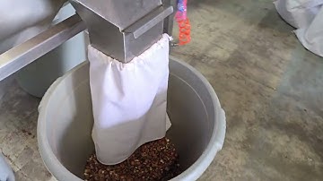 Hazelnut sorting machine