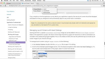 Xamarin iOS splash screen