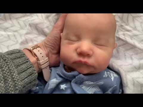 shaylen maxwell reborn