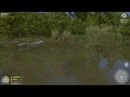 Russian Fishing 4 - Winding Rivulet - Cafe now open?