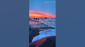 سورة الممتحنة آية 11 بصوت الشيخ ياسر الدوسري❤❤