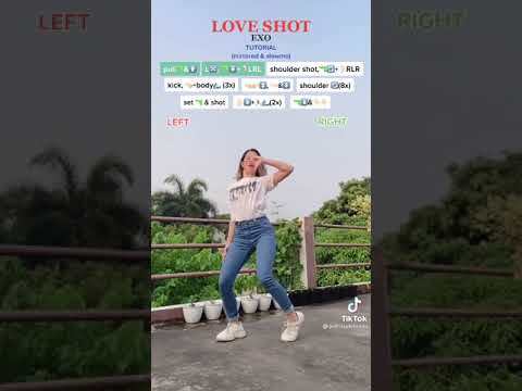 Love shot-Exo Dance Tutorial